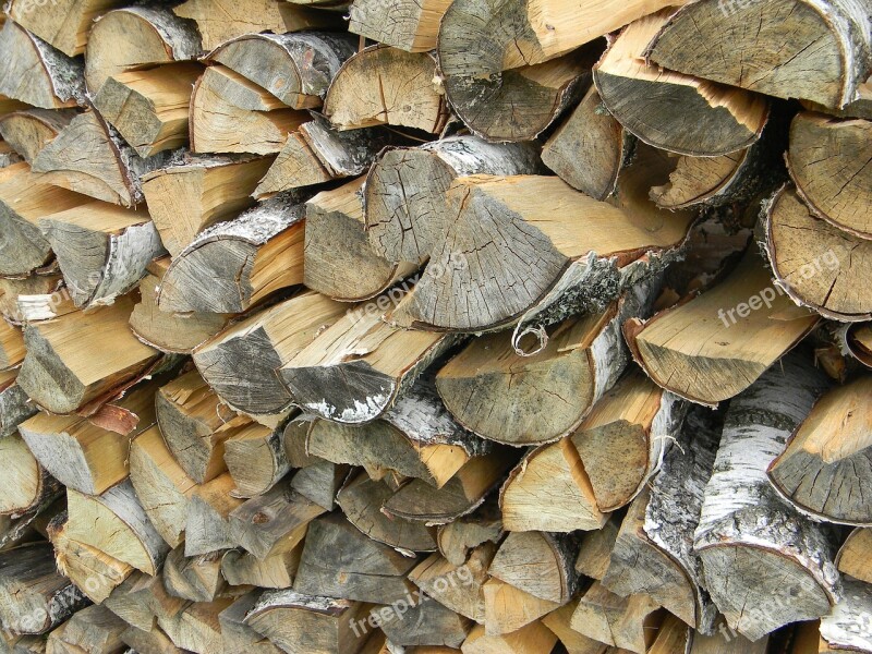 Firewood Dacha Wood Tree Bath