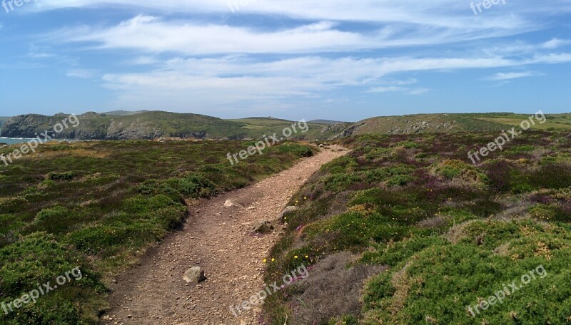 Path Coast Heather Coastline Wales