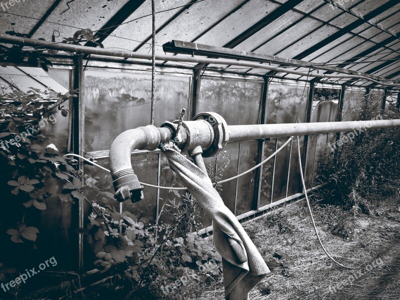 Greenhouse Ruin Tube Abandoned Duisburg