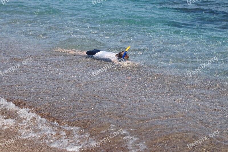 Sea Snorkel Child Dive Free Photos