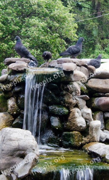 Nature Stones Garden Stones Water Summer