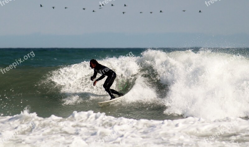 Surfer Surfboard Surf Surfing Leisure