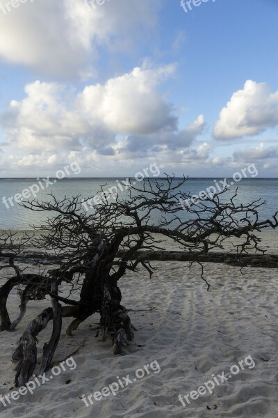 Heron Island Australia Horizon Clouds Sandy Beach