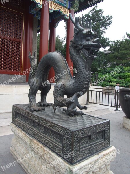 The National Palace Museum Sculpture Dragon Bronze China