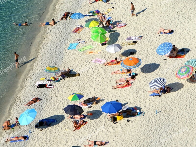 Beach Summer Sun Sea Swim