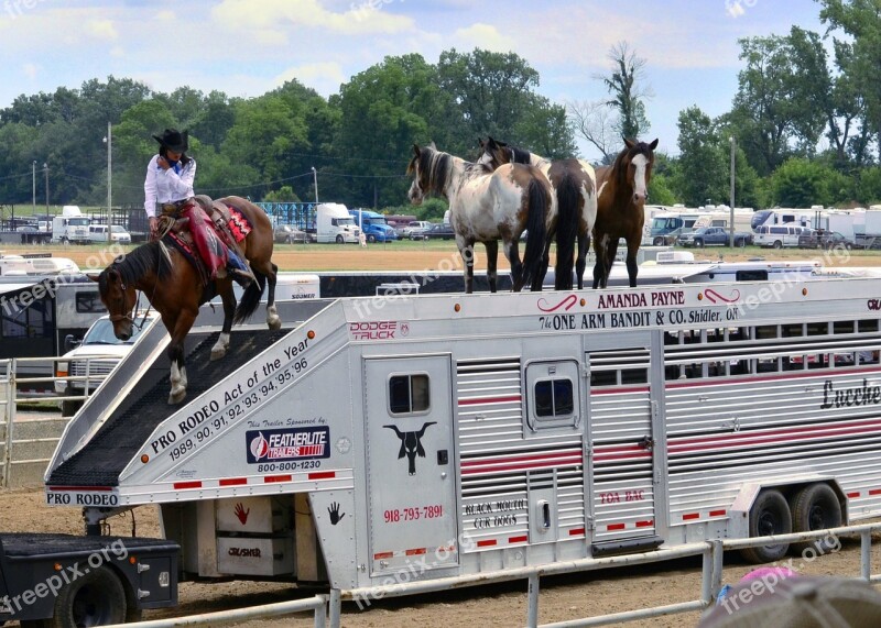 Rodeo Cowboys Horses Western Riding