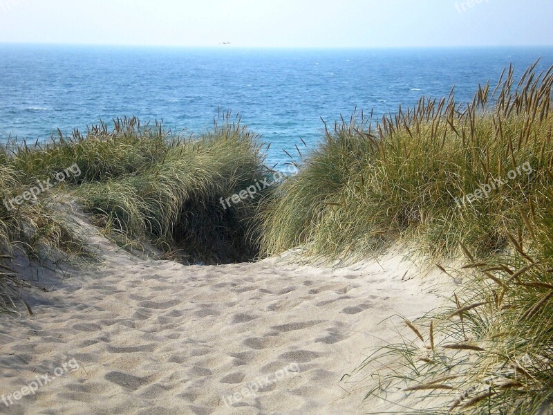 Dunes Summer Sea North Sea Free Photos