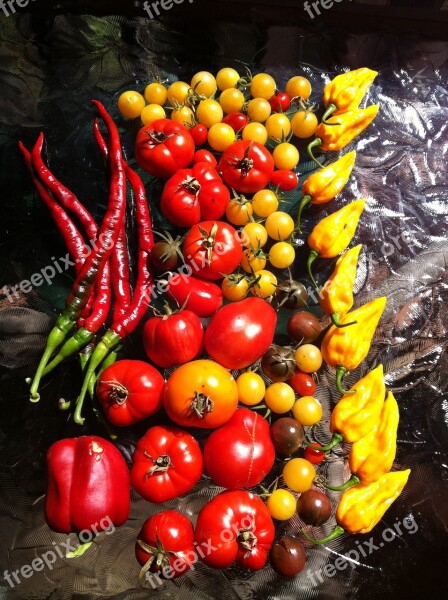 Garden Harvest Tomato Pepper Table