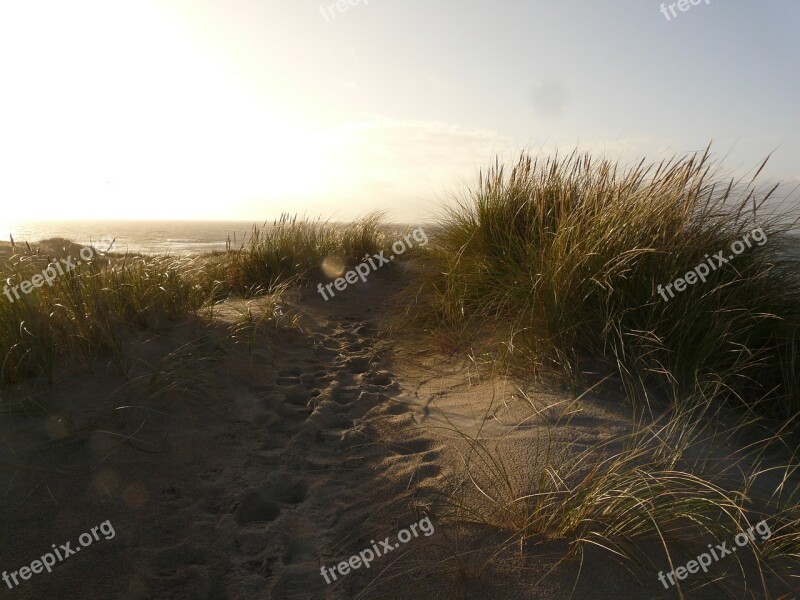 Dunes North Sea Sea Beach Free Photos