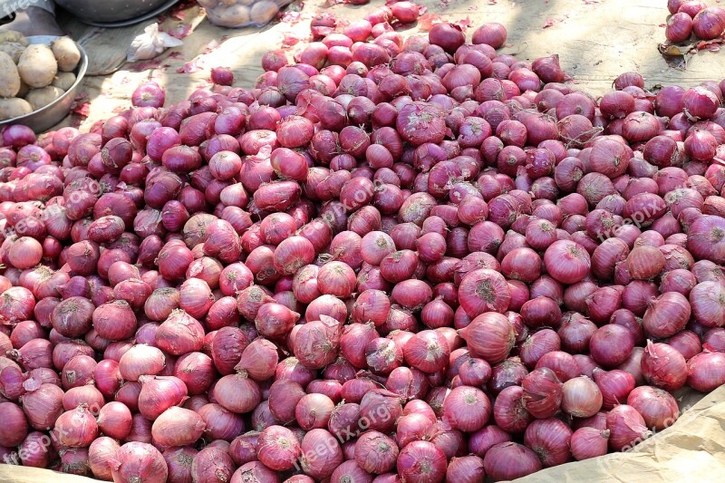 Onion Red Onion Market Indian Red