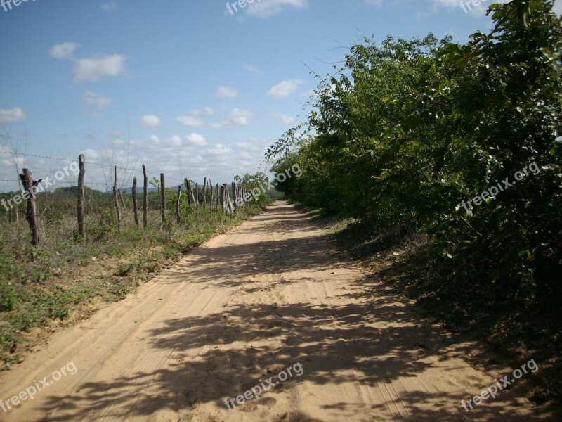 Path Dirt Road About Backcountry Brazil