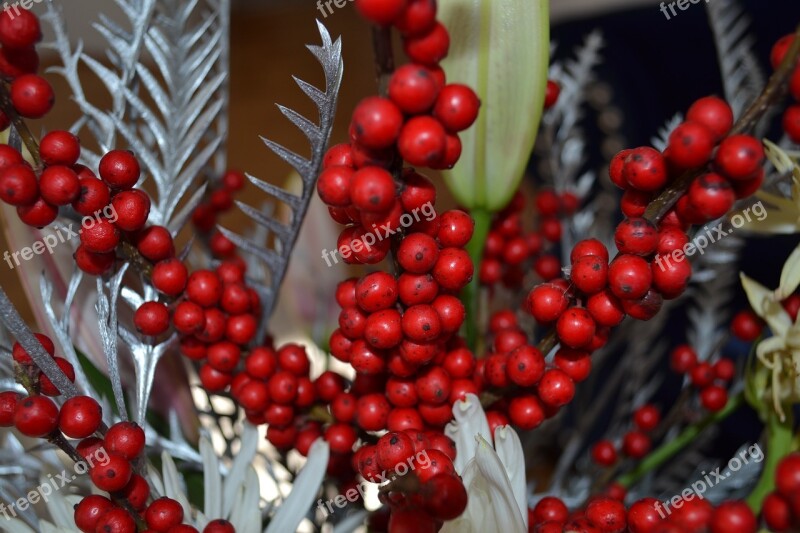 Christmas Holly Decoration Xmas Holiday