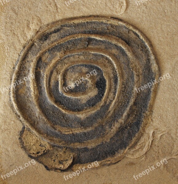 Spiral Art Snail Sand Picture Abstract