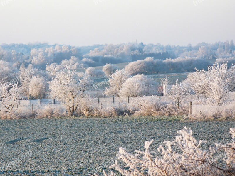 Nature Frost Icy Hoarfrost Free Photos