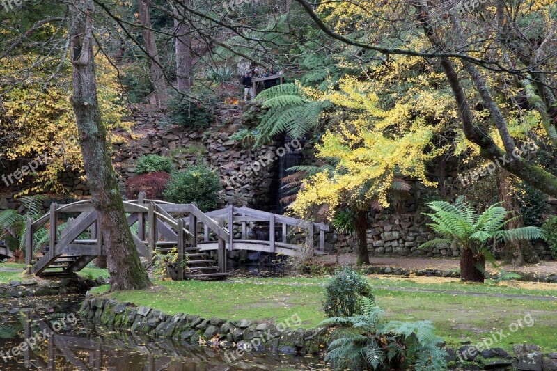 Australia Victoria Bridge Pond Autumn