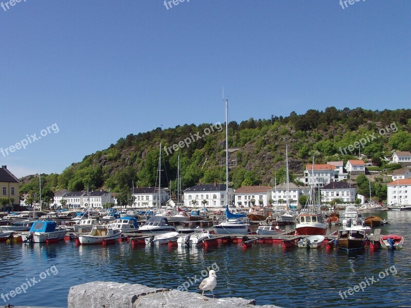 Norway Small Port Sea Gull Sailing Boat