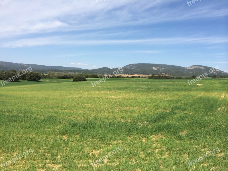 Landscape Field Nature Wild Field Agriculture