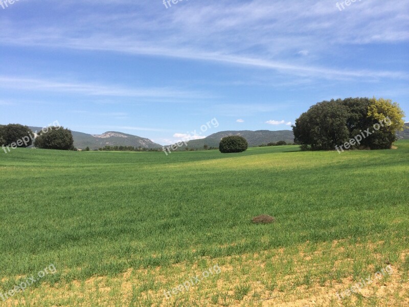 Landscape Field Nature Wild Field Agriculture