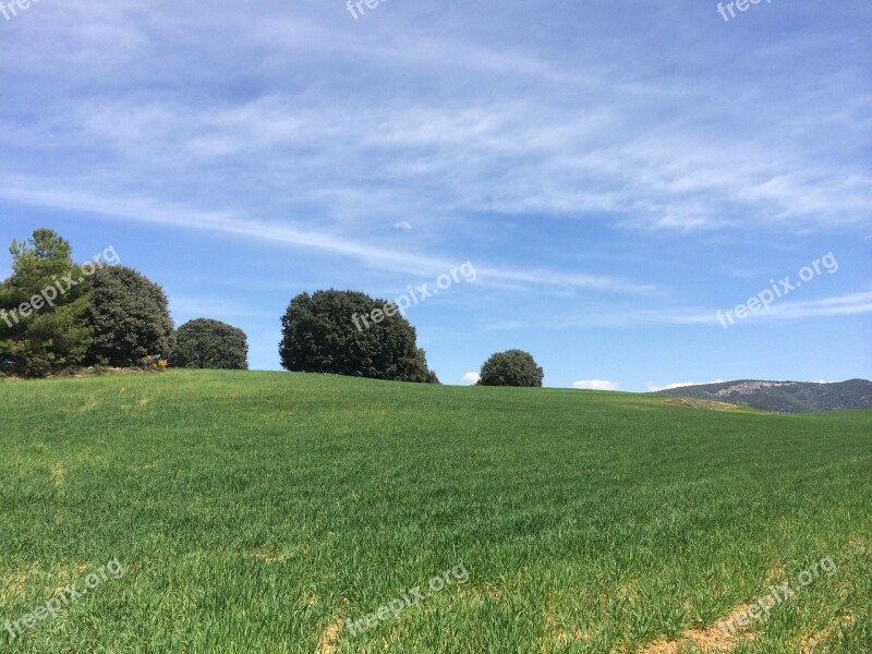 Landscape Field Nature Wild Field Agriculture