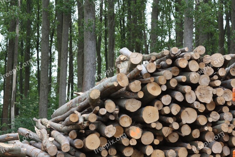 Wood Biomass Trunks Free Photos