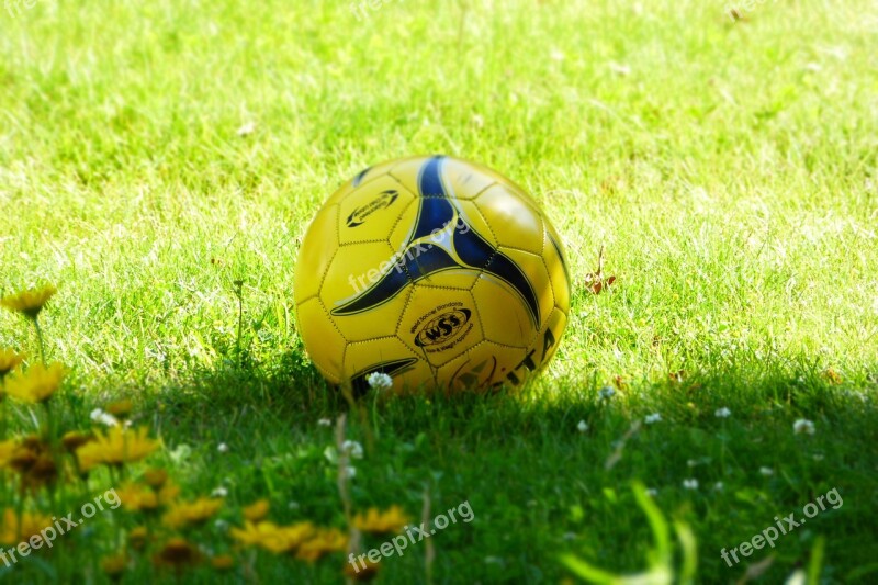 Ball Football Leather Ball Yellow Green