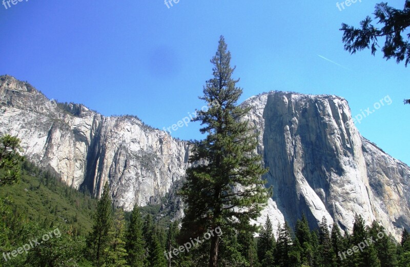 Yosemite National Park El Capitan Mountain Tree National