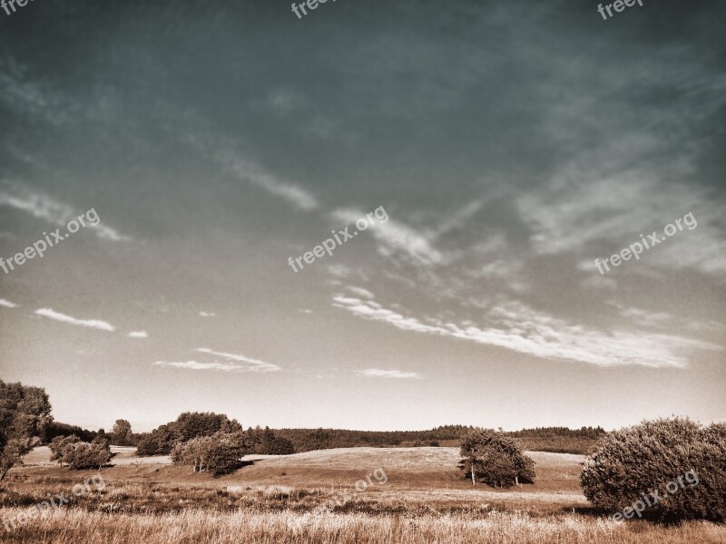 Summer Meadow Sky Landscape Dramatic Meadow