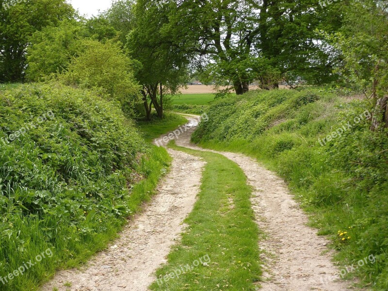 Green Dirt Road Winding Road Countryside Free Photos