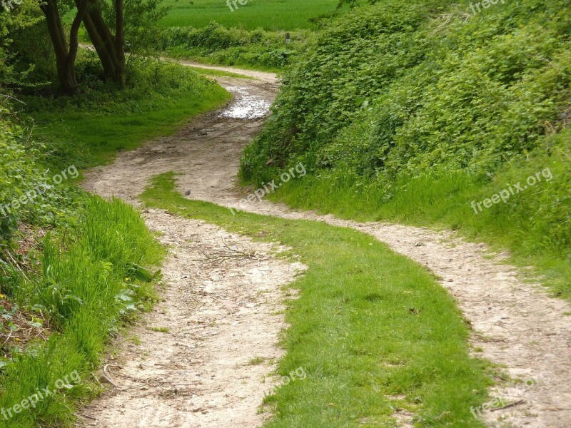 Green Dirt Road Winding Road Countryside Free Photos