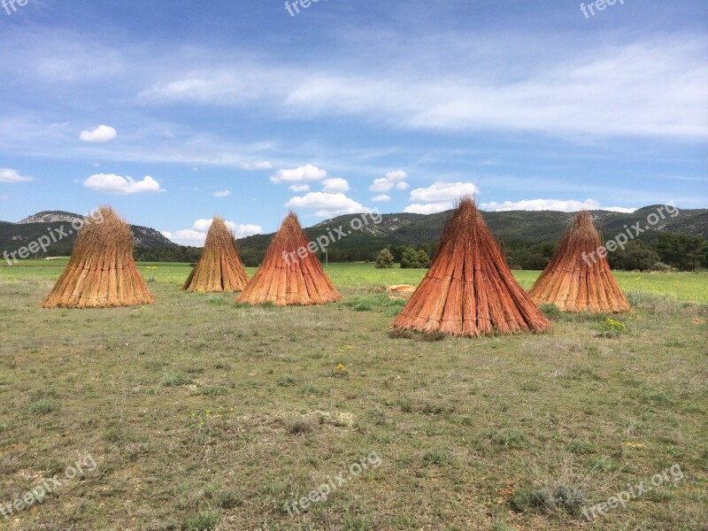 Landscape Field Nature Wild Field Agriculture