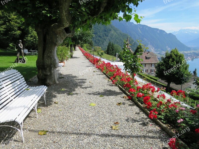 Rosenweg View Lake Geneva Switzerland Free Photos