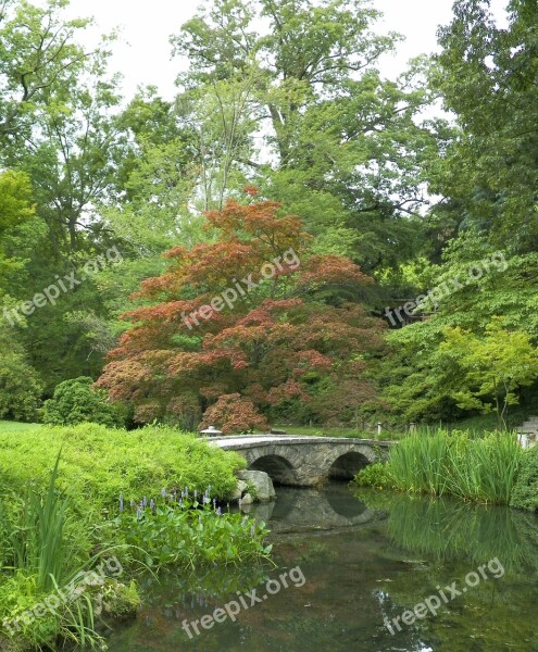 Garden Tree Japanese Nature Rock