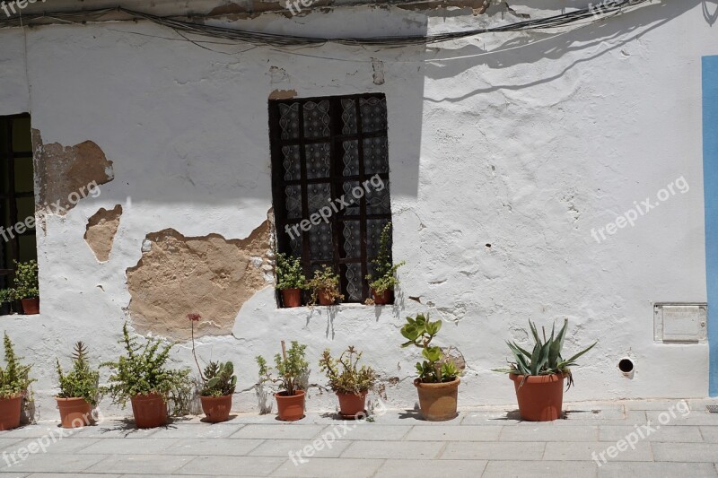 House White Eivissa Facade Plant