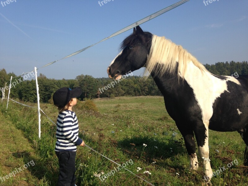 Horse Children Hage Free Photos