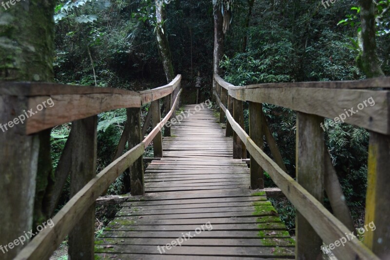 Bridge Crossing Wooden Bridge Free Photos