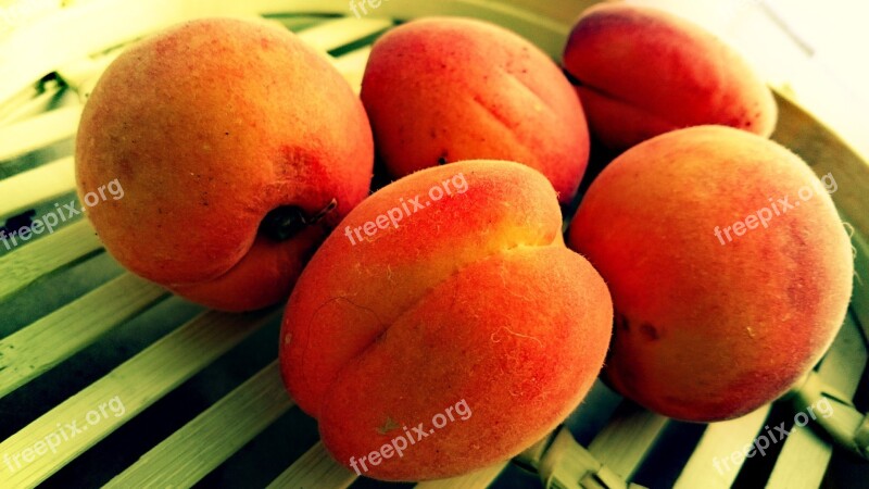 Apricots Fruits Bio Free Photos