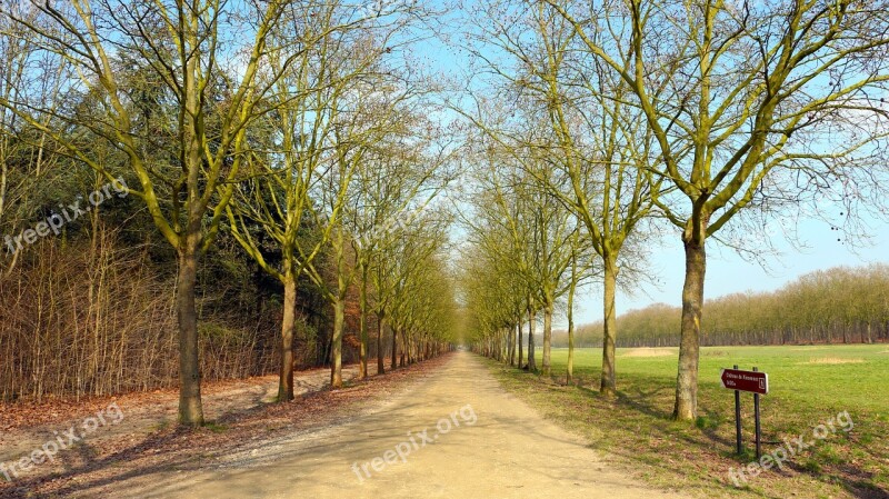 Road Straight Woods Trail Park