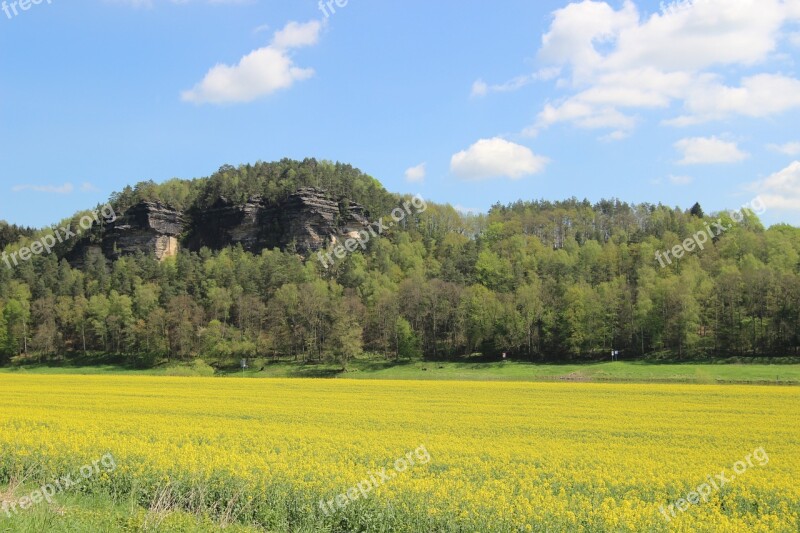 Bastei Sandstone Rock Rapeseed Field Yellow Field