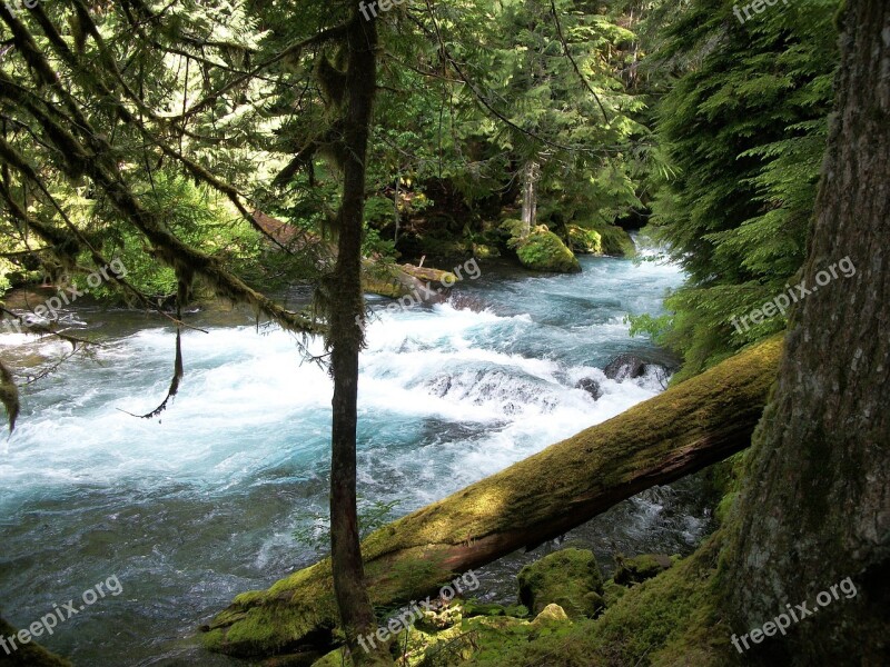 Mckenzie River Water River Nature Summer