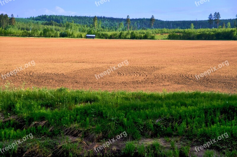 Bed Summer Sweden Nature Go