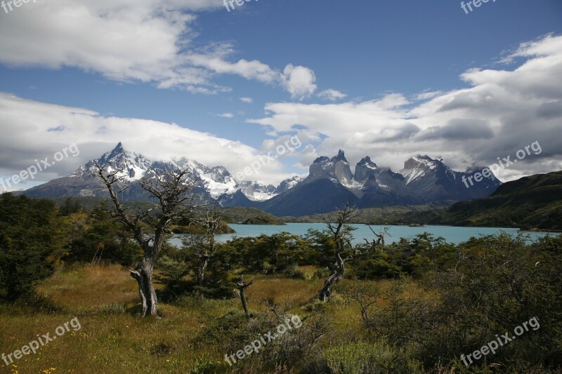 Patagonia Torres Del Paine Mountains Wilderness Free Photos