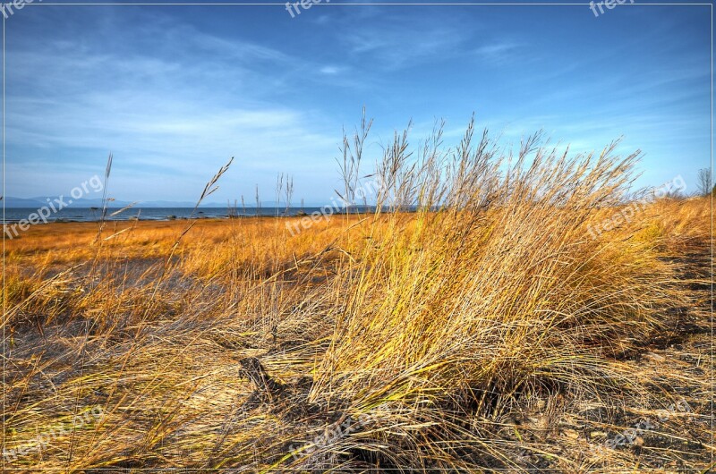 River Sky Cloud Sea Yellow