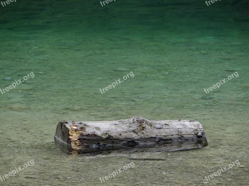 Drift Wood Water Wood Green Turquoise