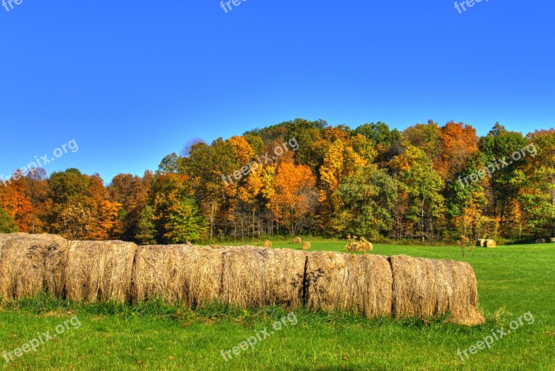 Bale Hay Straw Rural Farm