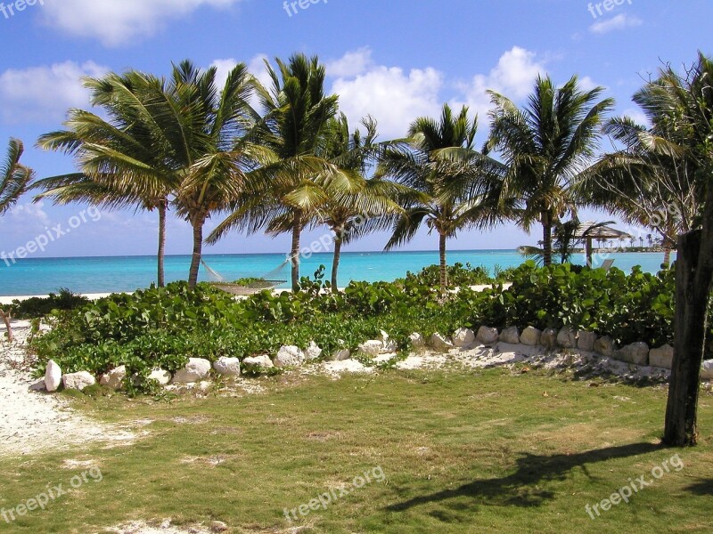 Hammock Island Caribbean Ocean Palm Trees