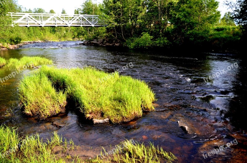 Sweden Summer Water Courses River Water