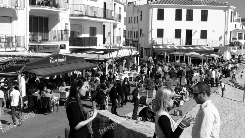 Calella De Palafrugell Calella Beach Catalonia Costa Brava