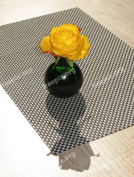 Decor Vase Shadow Flower Rose