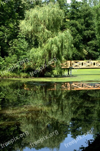 Lake Willow Mirror Image Bridge Water