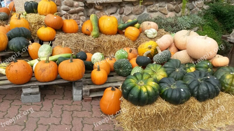 Pumpkin Nature Vegetables Food Deco